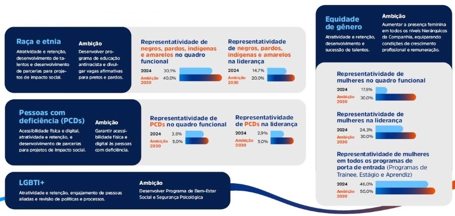 Infográfico Programa de Diversidade, Equidade e Inclusão